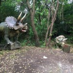 Triceratopo (riproduzioni)